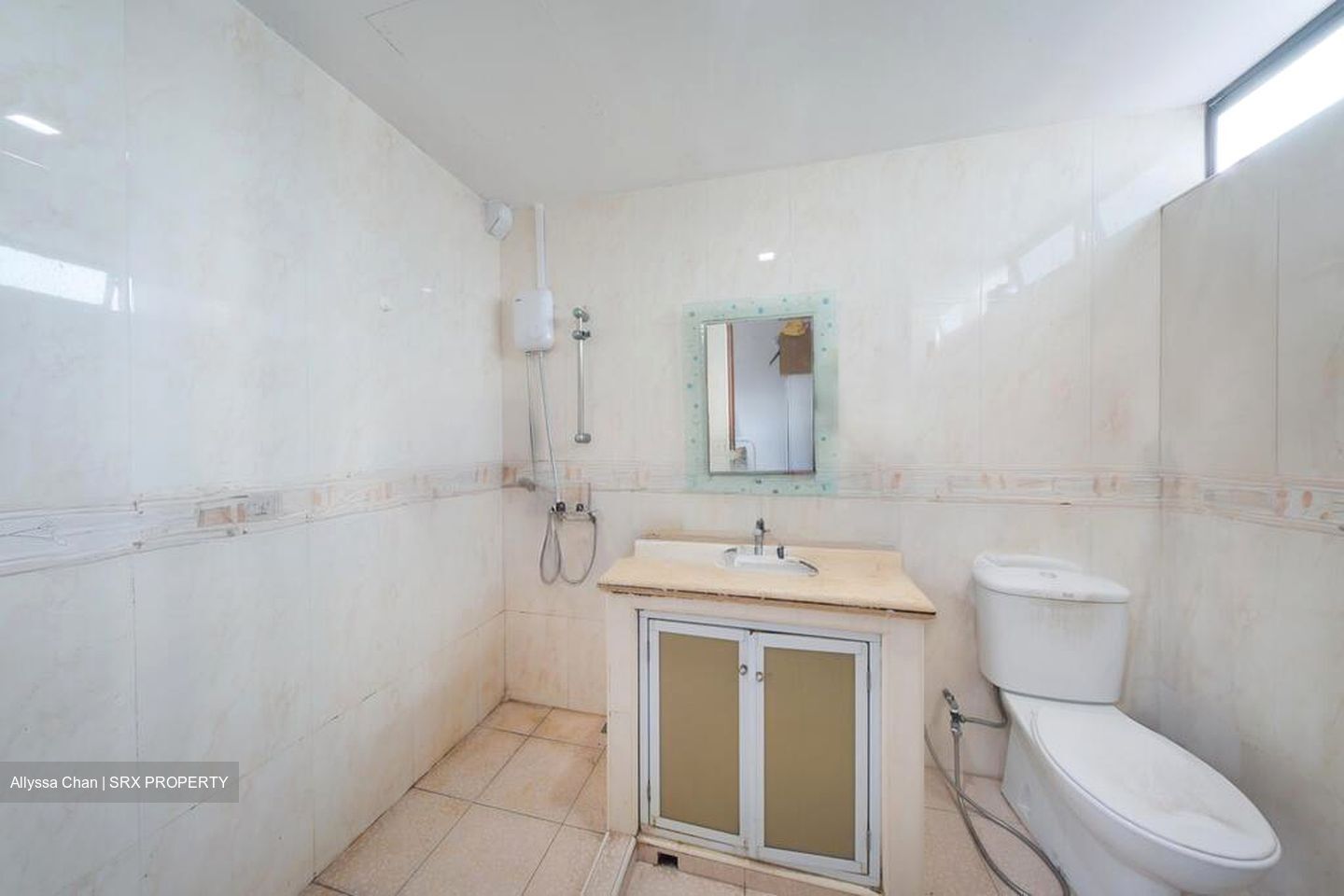 Jalan Besar Plaza (D8), Apartment #555489031